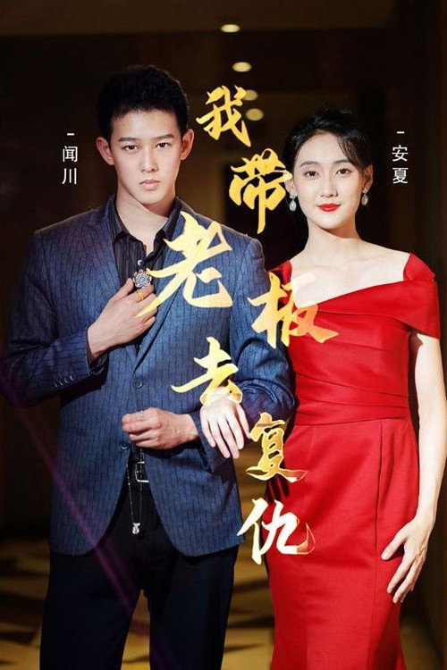我带老板去复仇电影海报
