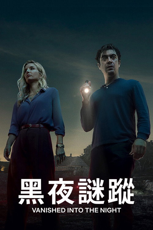 黑夜谜踪电影海报