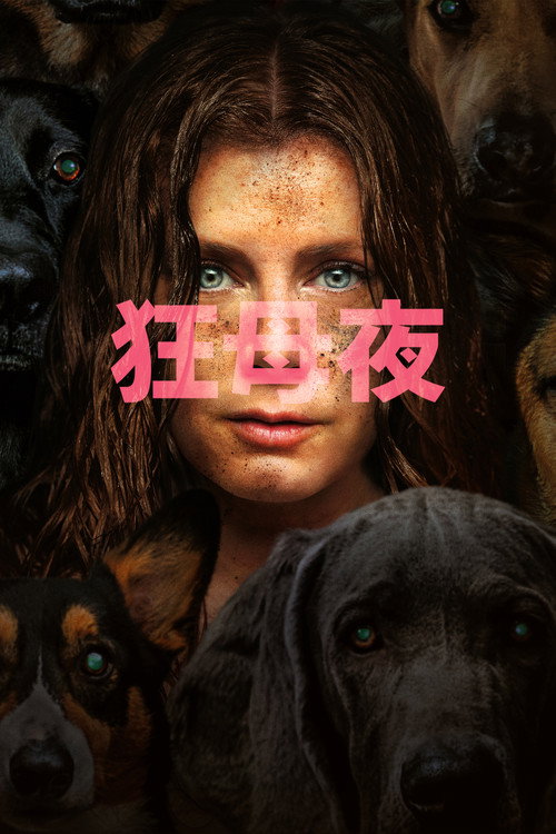 夜母电影海报
