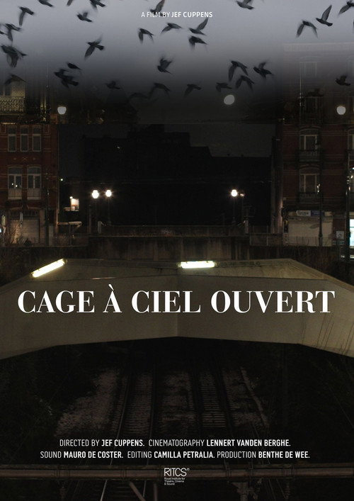 Cage À Ciel Ouvert's poster