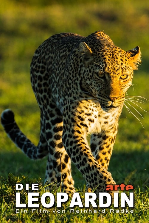 The+Leopardess