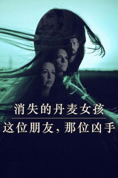 消失的丹麦女孩：这位朋友，那位凶手电影海报