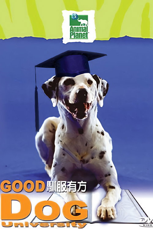 训狗有方电影海报