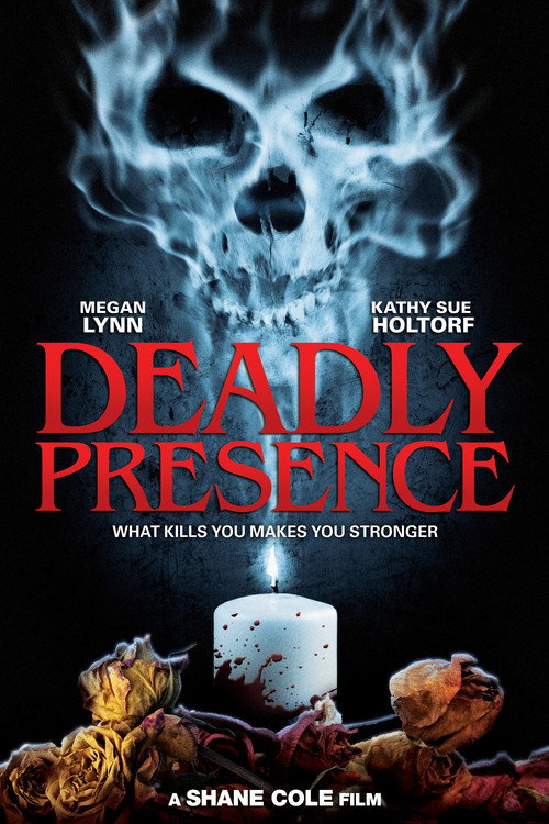 Deadly Presence poster 2