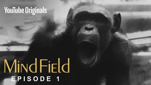 Mind Field - 1. Bölüm