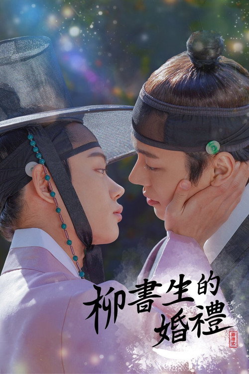 柳书生的婚礼海报