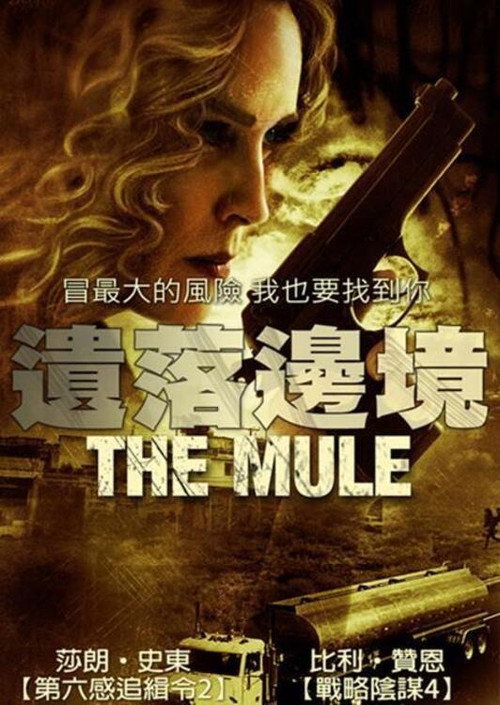 边境执行电影海报