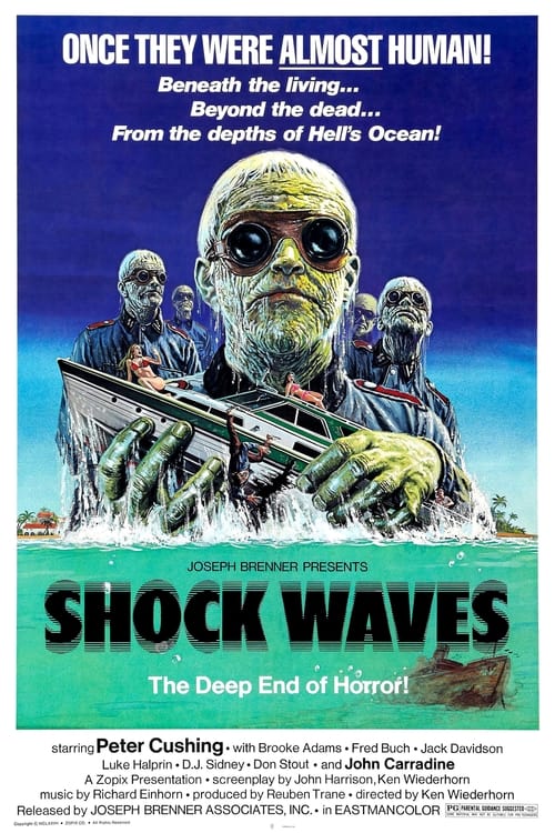 Shock Waves