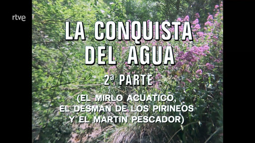 The Conquest of Water II