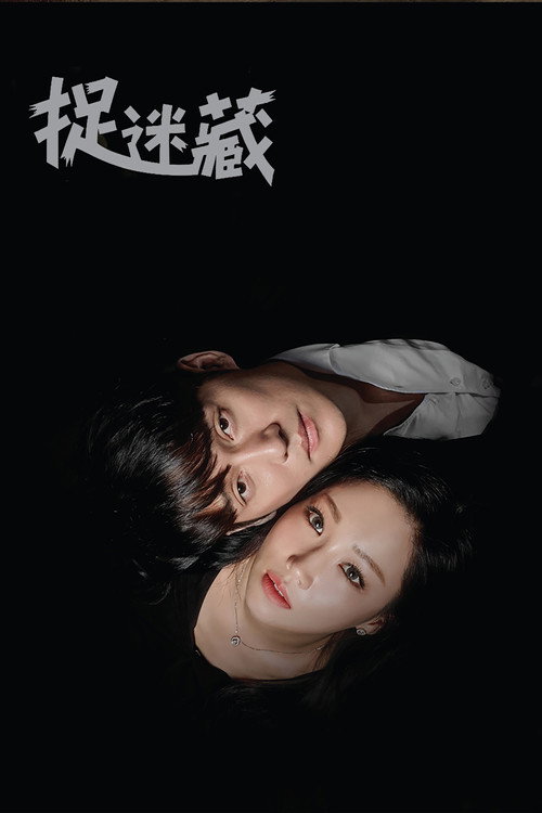 捉迷藏电影海报