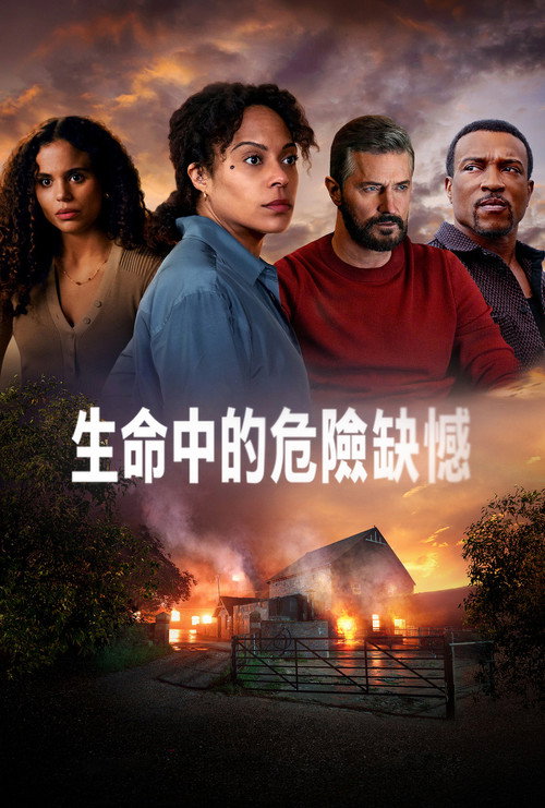 生命中的危险缺憾电影海报