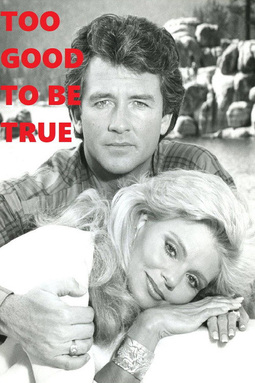 Too Good to Be True poster 2
