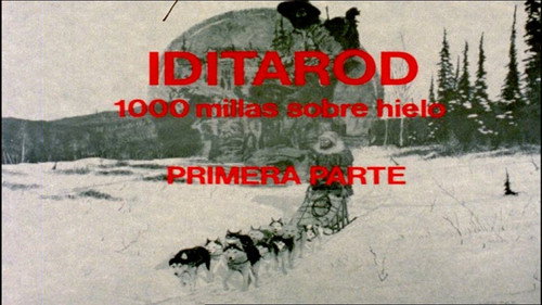 Iditarod. 1,000 Miles on Ice I