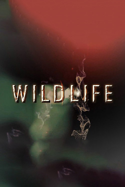 Wildlife电影海报
