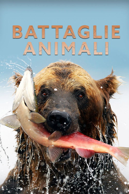 Battaglie animali电影海报