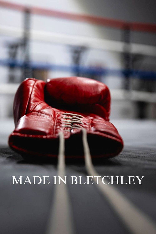 Made in Bletchley电影海报