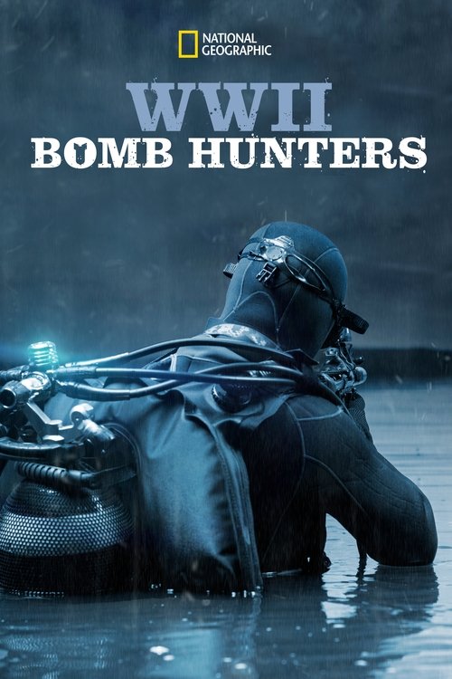 WWII+Bomb+Hunters