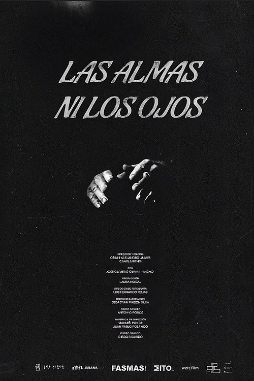Las almas ni los ojos