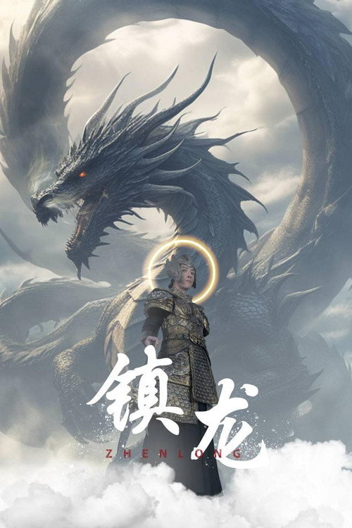 镇龙电影海报