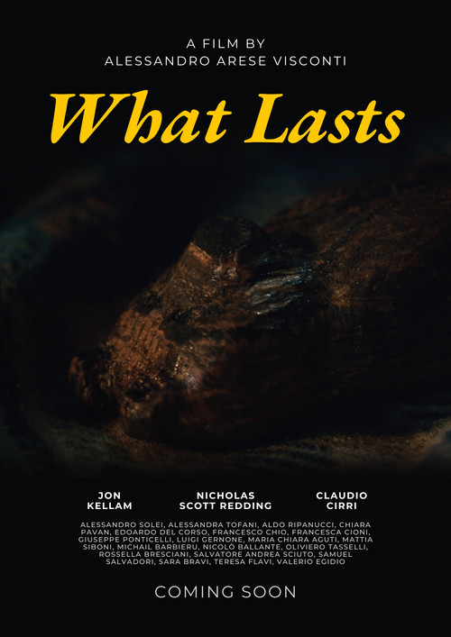 What Lasts电影海报