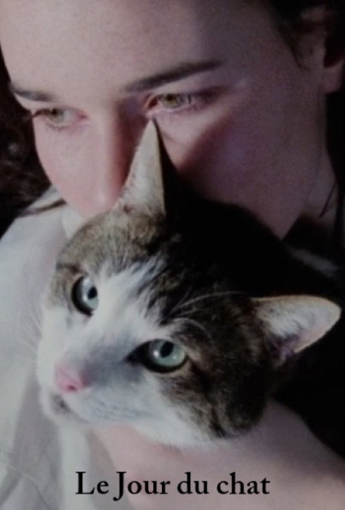 The Day of the Cat Poster