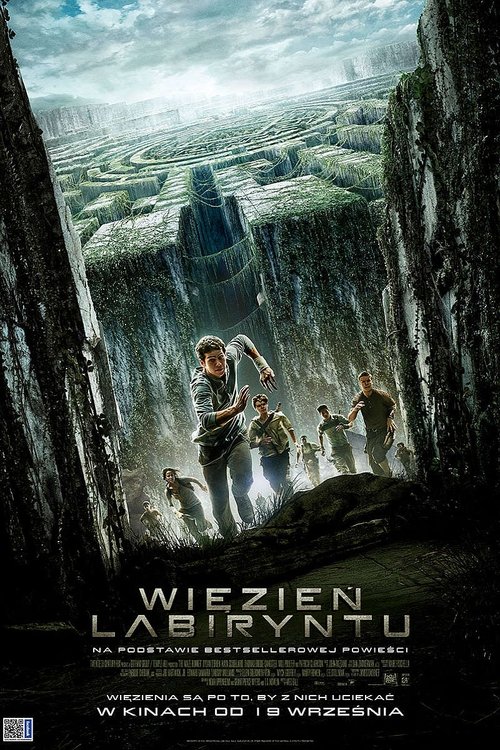 Więzień Labiryntu (2014) Więzień Labiryntu (2014)
