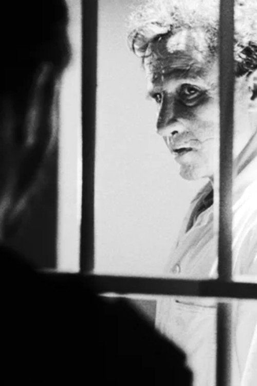 VER Het slachtoffer (year) Pelicula Completa En Español></a></center><br /><br /><center><a href=