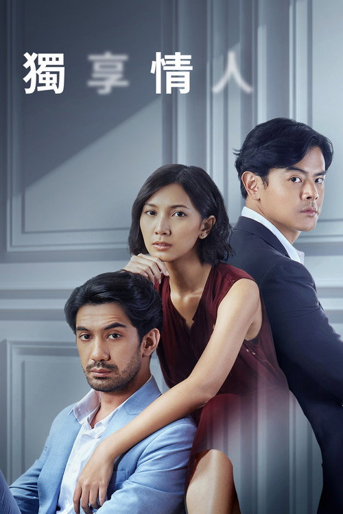 独享情人电影海报