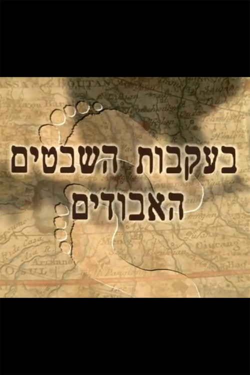 בעקבות השבטים האבודים电影海报