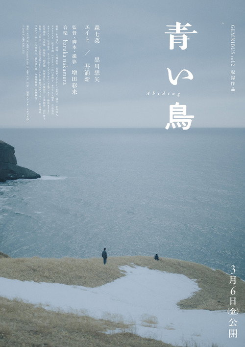 青い鳥 poster 4