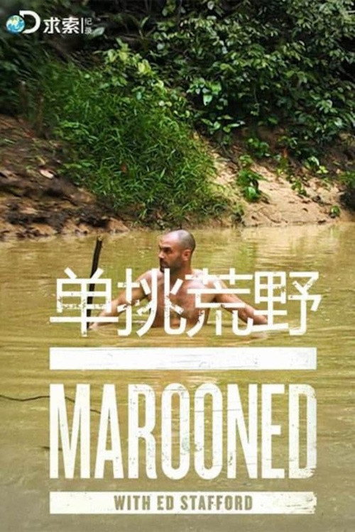 单挑荒野电影海报