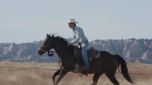 The Rider (2018) 