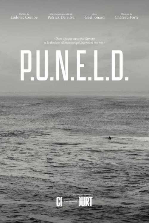 P.U.N.E.L.D.电影海报
