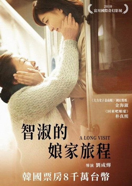 娘家母亲电影海报