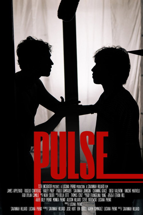 PULSE电影海报