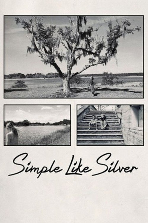 Simple Like Silver poster 4