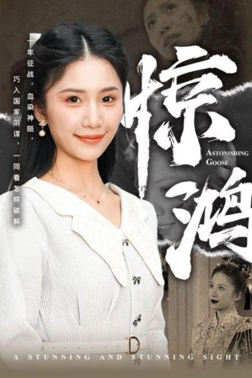 惊鸿电影海报