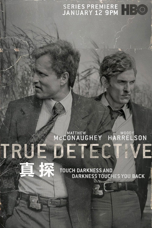 真探电影海报