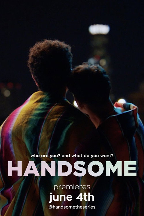 Handsome电影海报