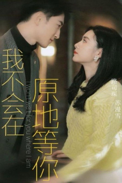 我不会在原地等你电影海报