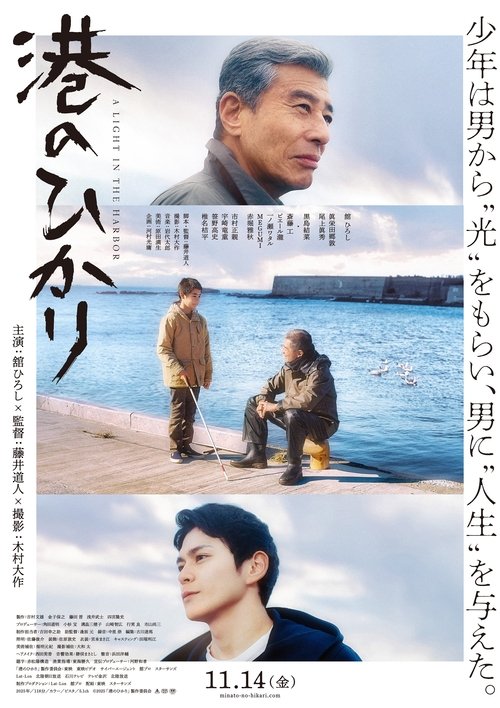 A Light in the Harbor Poster