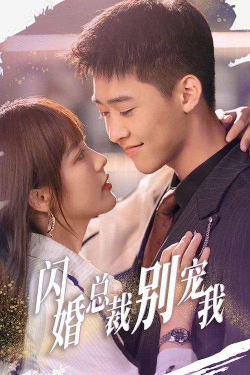 闪婚总裁别宠我电影海报