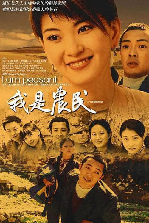 我是农民电影海报