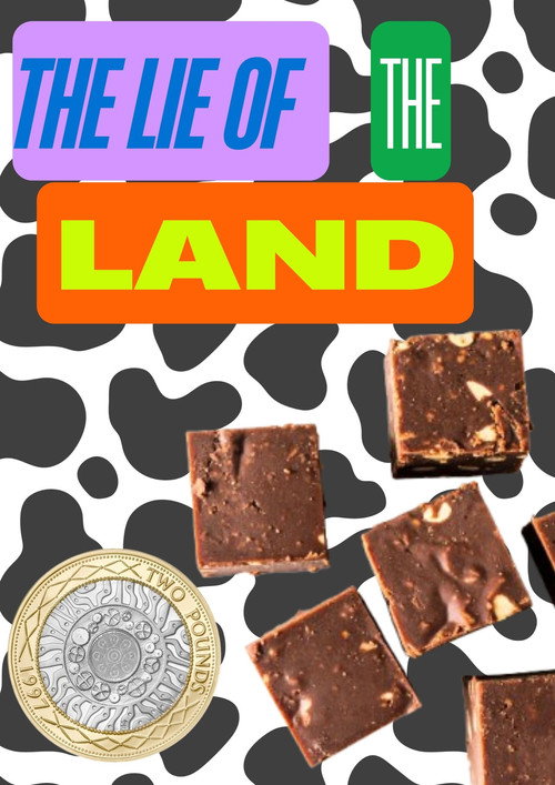 The Lie of the Land poster 3