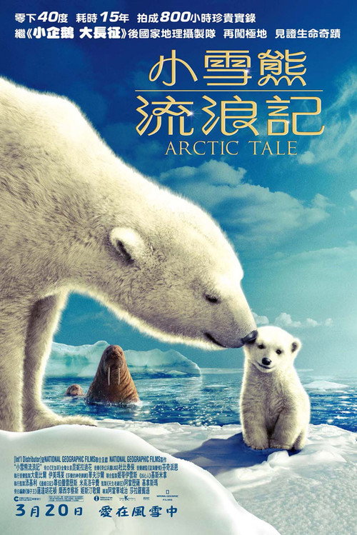 北极故事海报