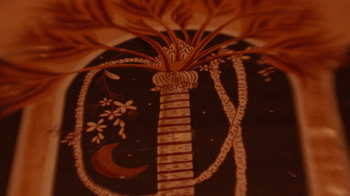 Backdrop