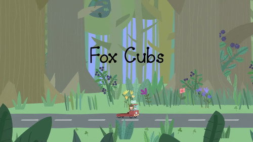Fox Cubs