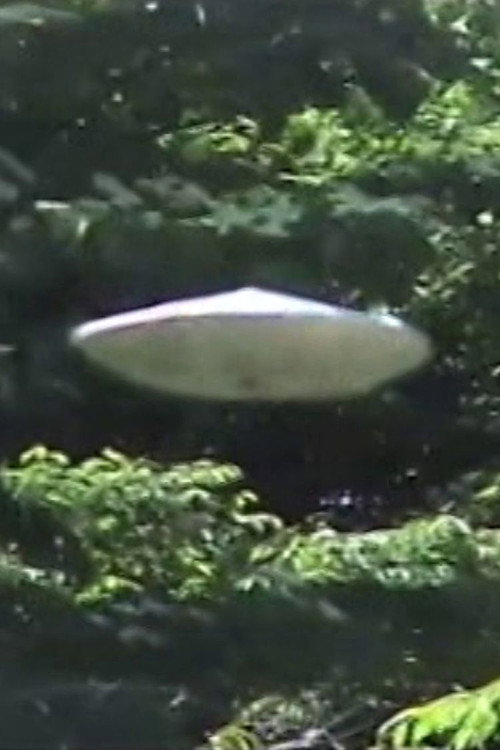 Buchou to UFO-gokko's poster