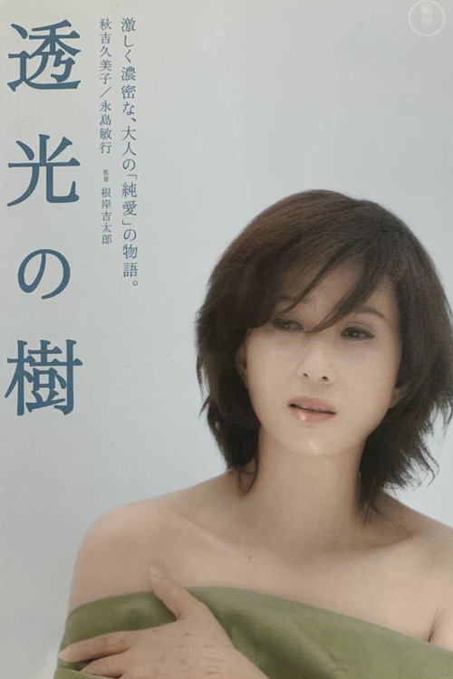 Translucent Tree poster 3