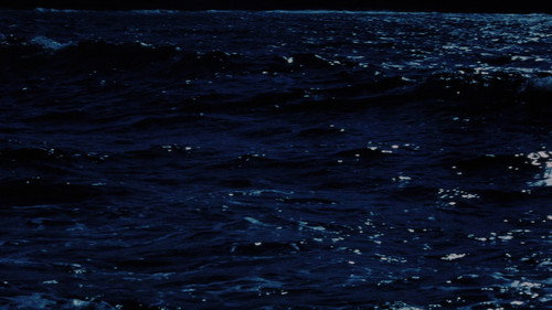 image41